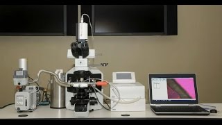 FreezeDry Microscopy  Lyophilization Cycle Development [upl. by Retsam225]