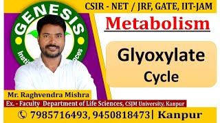 Glyoxylate Cycle  Metabolism CSIR NETJRF  GATE  Life science  biotechnology  ICMR [upl. by Ivey]