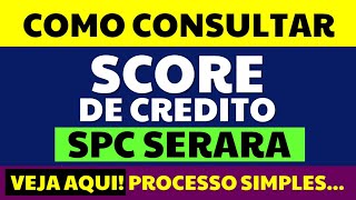 SCORE SPC SERASA COMO CONSULTAR CPF SCORE SPC SERASA [upl. by Chapel]