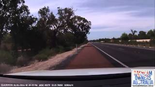 Driver falls asleep at wheel  Kwinana Fwy WA [upl. by Barcus]