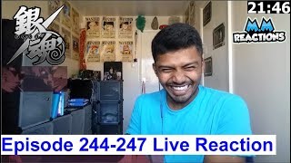 Thorny Arc Greatness  Gintama Anime Episode 244245246 amp247 Live Reaction [upl. by Artened851]