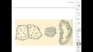 pediatrics Lec2 Brest feeding [upl. by Gothar]