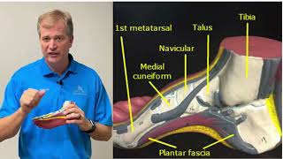 Plantar Fasciitis vs Neuropathy  Patient Story [upl. by Randi]