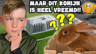 HEBBEN WIJ INEENS EEN NIEUW KONIJN ERBIJ   De Bakkertjes 676 [upl. by Hoisch172]