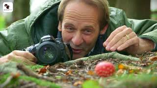 Paddestoelen fotograferen aflevering 1 [upl. by Marsiella]