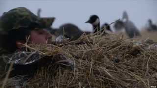 Hunting Canada Goose with MOJO Outdoors [upl. by Diahann]