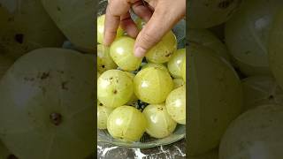 Benefits of Amla shorts amla recipe [upl. by Marashio]