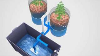 Super Simple Ebb amp Flow Hydroponics System [upl. by Noyr]