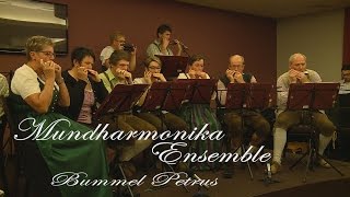 Volksmusik  Bad Kreuzen  Singa is unsa Freid  Mundharmonika Ensemble  Bummel Petrus [upl. by Nicolas]