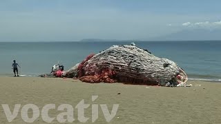 This ‘Beached Whale’ Is Made Of Trash From The Ocean [upl. by Haila]