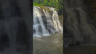 Abbey waterfalls coorg india travel youtubeshorts [upl. by Zamora]