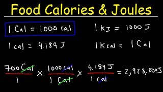 Joules Food Calories amp Kilojoules  Unit Conversion With Heat Energy  Physics Problems [upl. by Robertson708]