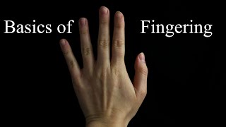 Basics of Fingerings Nature of our fingershands [upl. by Moonier]