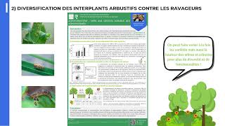 Présentation de poster  Amélie Lemaire amp Lucas Liebeskind [upl. by Milena]