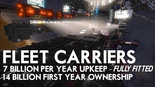 Elite Dangerous  Fleet Carriers In Action  First Look [upl. by Derdle740]