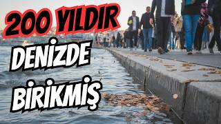 200 YILDIR DENİZE DÜŞÜRÜLEN PARALARI BULDUK istanbulboğazı dalış [upl. by Hplar505]