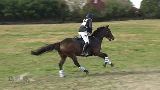 Rachel Higgins amp Kronos Waredaca 3Day Cassic amp Horse Trials 2024 [upl. by Eledoya]