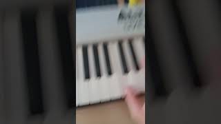 i made a combo organ LOL [upl. by Eirrab]