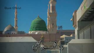 Beautiful new naat status  naat shrif new status  naat status  naat status 2024 [upl. by Akehsal]