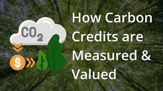 How Carbon Credits are Measured amp Valued [upl. by Irallih]