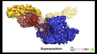 Risk of protein aggregation in the cytosolChaperones functionHeat shock proteinsHSP70 amp 60GroEL [upl. by Kerril]