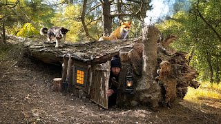 Building a Secret Shelter Under a Fallen Tree for Survival  Tamed a wild fox [upl. by Najtsirk]