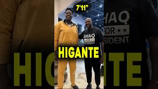 711quot Higante na si Abiodun Adegoke pinag mukhang bansot si SHAQ at TOWNS nba [upl. by Surbeck]