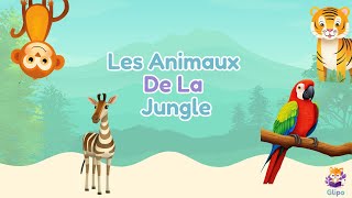 Les Animaux de la Jungle  Les Histoires Glipo [upl. by Ille]