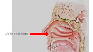 La Désobstruction Rhinopharyngée DRP Lavage du nez du nourrisson [upl. by Ellehcyt]