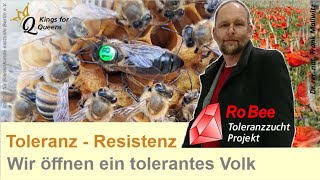 Keine Milben  Blick in die Beute wir öffnen ein Varroa Tolerantes unbehandeltes Bienenvolk [upl. by Betsey]