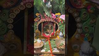 Bhalka tirth janmashtami mahotsav ​JayshreeRadheKrishna01 jayshreekrishna [upl. by Elatsyrk295]