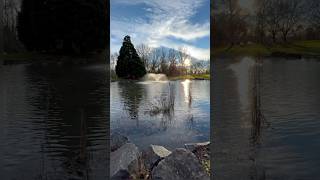 The Best Park in Corvallis Oregon EXPOSED [upl. by Issirk]