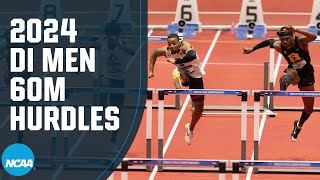 Mens 60m hurdles  2024 NCAA indoor track and field championships [upl. by Sucramd935]