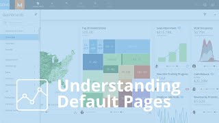 Domo Interface  Understanding Default Pages [upl. by Philbrook]