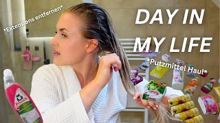 DAY IN MY LIFE  XXL Putzmittel Haul amp Extensions entfernen 😱 [upl. by Acirretahs]