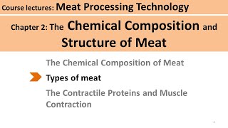 C208 connective tissue Meat Technology [upl. by Ondrej]