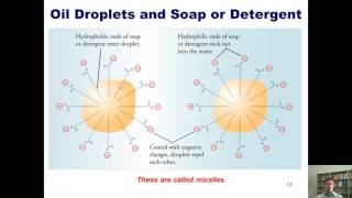 Chapter 17 – Reactions of Carbonyl Compounds Part 7 of 7 [upl. by Eurd450]