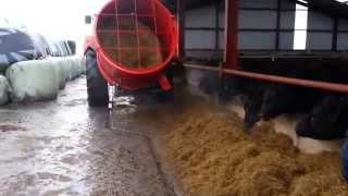 Blaney Bale Feeder nov 14 [upl. by Bunde866]