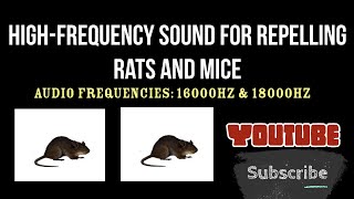 🚫🐀🚫HighFrequency Sound for Repelling Rats and Mice Repellent 🚫🐁 [upl. by Kellie81]