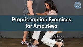 Balance Exercises for Amputees Proprioception [upl. by Hoffert]