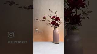 art flowers florist amor acommeamor autumnlafite [upl. by Rez464]