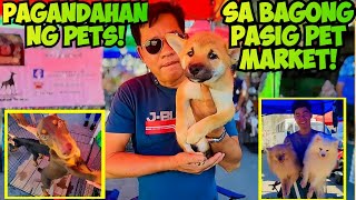 PINAKAMALAKING KENNEL SA BULACAN NASA BAGONG PASIG PET MARKET NA DIN [upl. by Fidole]