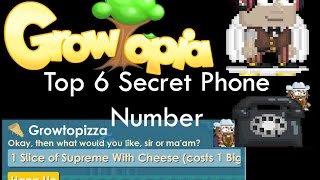 Top 6 Secret Phone Number Growtopia [upl. by Oraneg]