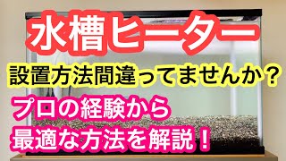 水槽ヒーターの設置方法間違っていませんか プロが経験して分かった水槽用ヒーターのベストな使い方を解説 [upl. by Jessalyn]