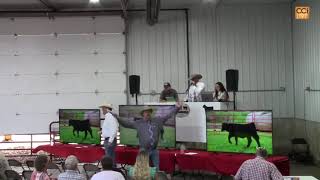 Swing Shift Simmentals Production Atalissa IA Sept 2024Sep21130059mp4 [upl. by Shyamal]