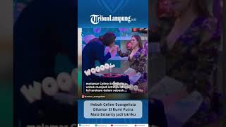 Heboh Artis Celine Evangelista Dilamar El Rumi Putra Maia Estianty Shorts TRIBUNLAMPUNG [upl. by Grace]