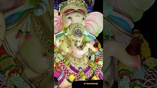 Ganpati Bappa visarjan ganpati chiplun ganpatibappa visarjanstatus [upl. by Galvan]