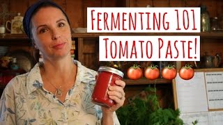 HOW TO FERMENT TOMATO PASTE  FERMENTING 101 [upl. by Helms]