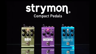 Strymon Compact Pedals [upl. by Annuaerb505]