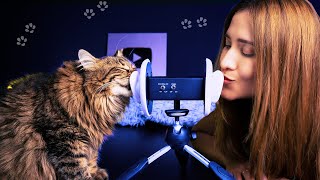 Asmr con mi Gato para DORMIR RONRONEANDO  ASMR Español  Asmr with Sasha [upl. by Helsa]